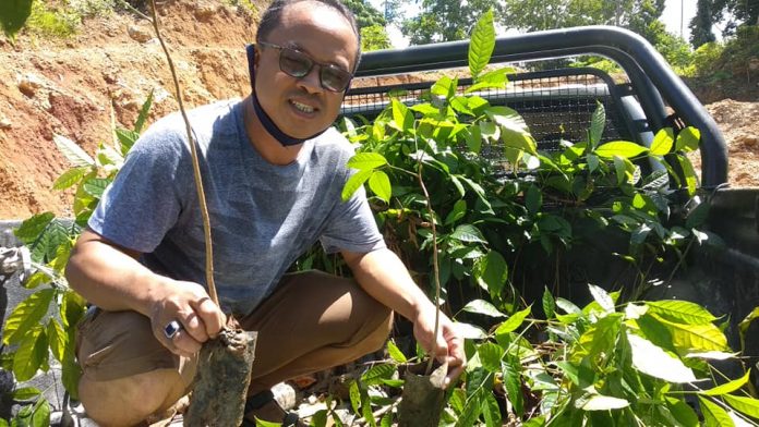 stefanus-pusung-inisiator-penanaman-3000-bibit-pohon-mahoni stefanus pusung inisiator penanaman 3000 bibit pohon mahoni