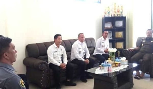 WhatsApp Image 2026-01-31 at 18.14.39 (1) (1)