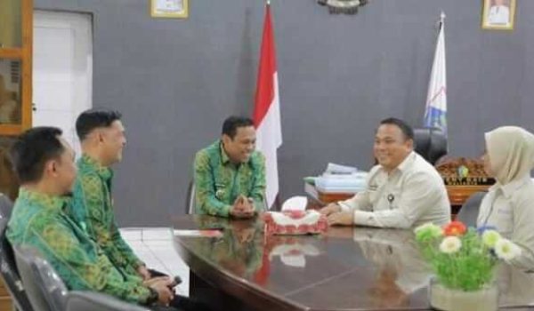 WhatsApp Image 2026-02-20 at 19.10.06 (1)