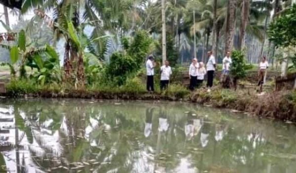 WhatsApp Image 2026-02-20 at 19.13.56 (1)