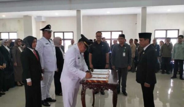 WhatsApp Image 2026-03-16 at 22.35.19