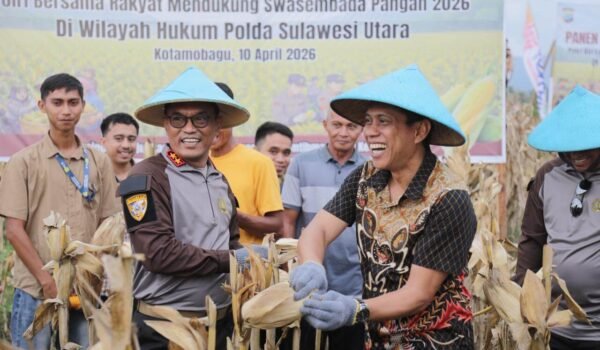 WhatsApp Image 2026-04-11 at 00.36.55 (1)