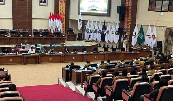 WhatsApp Image 2026-04-13 at 22.31.33 (1)